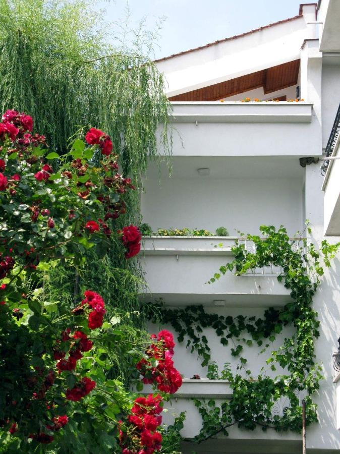 Guest House Barbov Obzor Luaran gambar