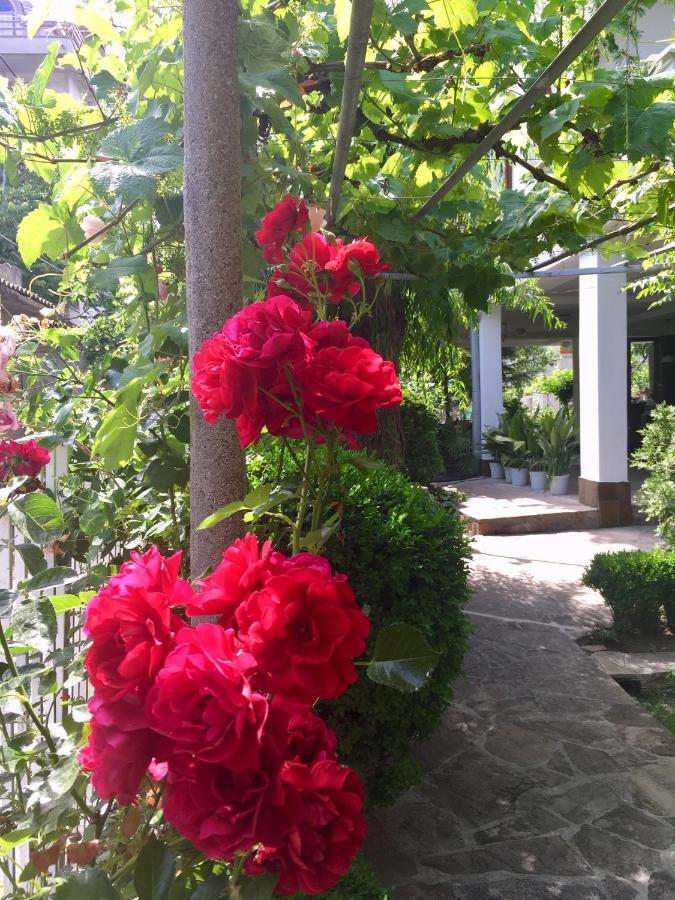 Guest House Barbov Obzor Luaran gambar
