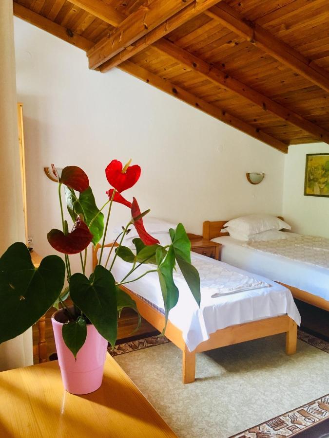 Guest House Barbov Obzor Luaran gambar